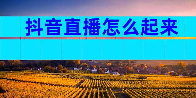 抖音直播怎么起来