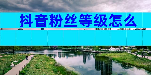 抖音粉丝等级怎么