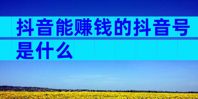 抖音能赚钱的抖音号是什么