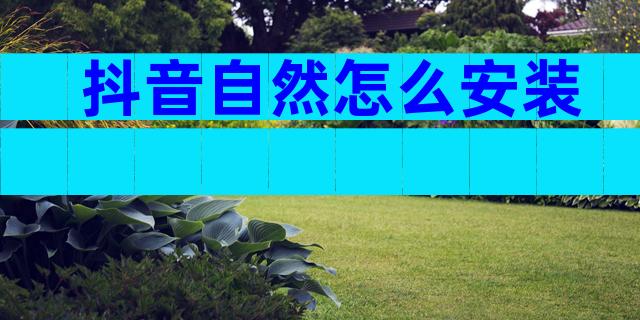 抖音自然怎么安装