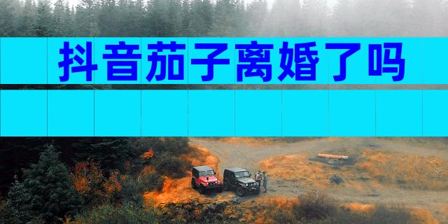 抖音茄子离婚了吗