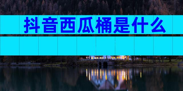 抖音西瓜桶是什么