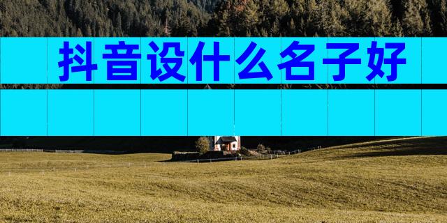 抖音设什么名子好