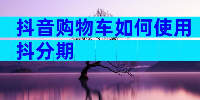 抖音购物车如何使用抖分期