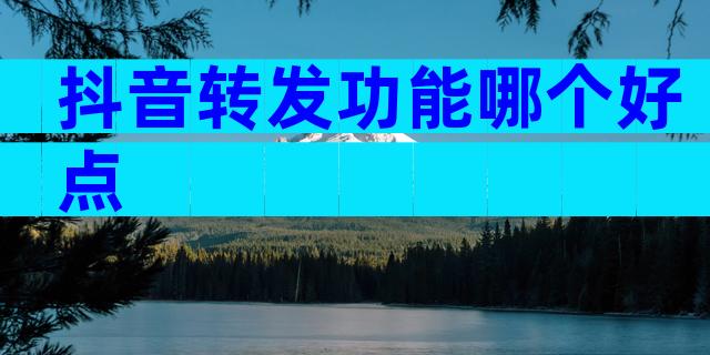 抖音转发功能哪个好点