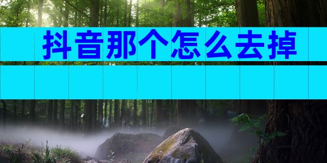 抖音那个怎么去掉