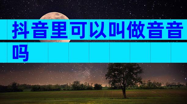 抖音里可以叫做音音吗