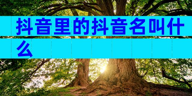 抖音里的抖音名叫什么