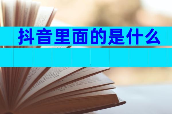 抖音里面的是什么