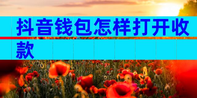 抖音钱包怎样打开收款
