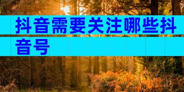 抖音需要关注哪些抖音号