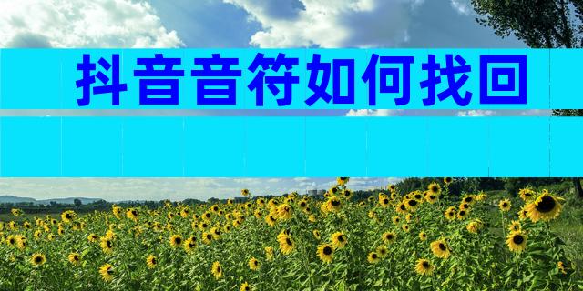 抖音音符如何找回