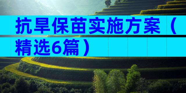 抗旱保苗实施方案（精选6篇）