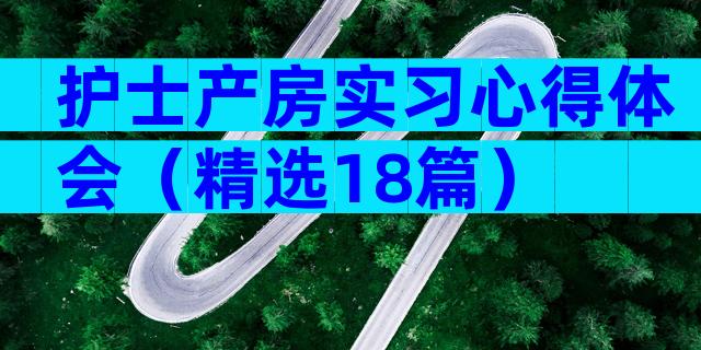 护士产房实习心得体会（精选18篇）