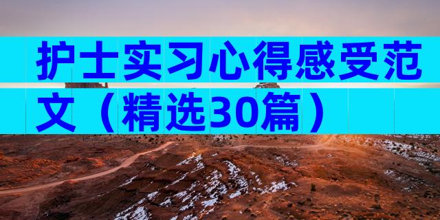护士实习心得感受范文（精选30篇）