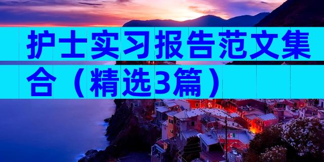 护士实习报告范文集合（精选3篇）