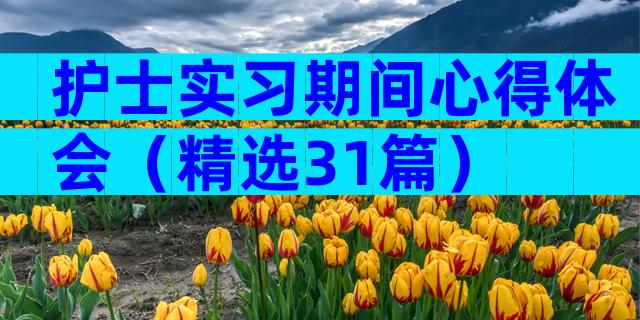 护士实习期间心得体会（精选31篇）