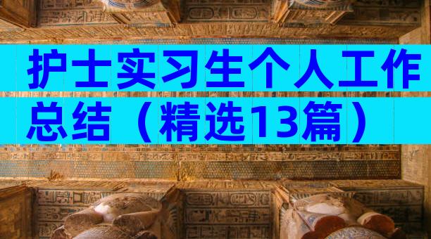 护士实习生个人工作总结（精选13篇）