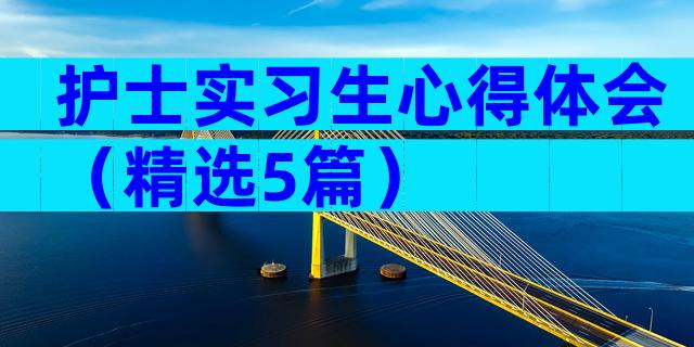 护士实习生心得体会（精选5篇）