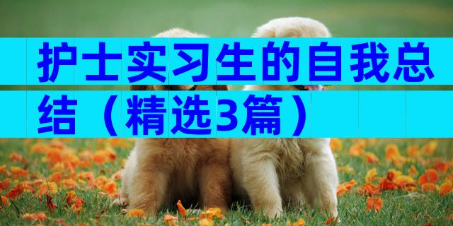 护士实习生的自我总结（精选3篇）