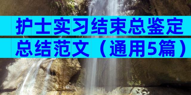 护士实习结束总鉴定总结范文（通用5篇）