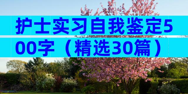 护士实习自我鉴定500字（精选30篇）