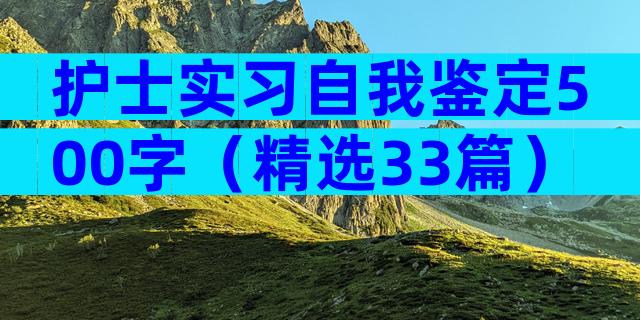 护士实习自我鉴定500字（精选33篇）