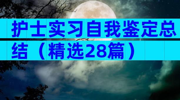 护士实习自我鉴定总结（精选28篇）