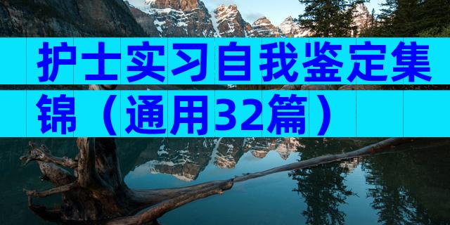 护士实习自我鉴定集锦（通用32篇）