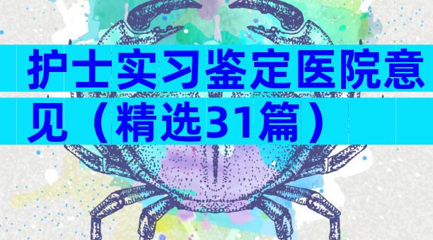 护士实习鉴定医院意见（精选31篇）