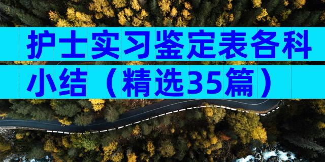 护士实习鉴定表各科小结（精选35篇）