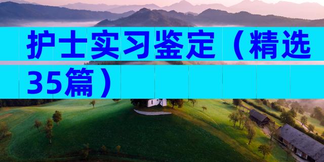 护士实习鉴定（精选35篇）