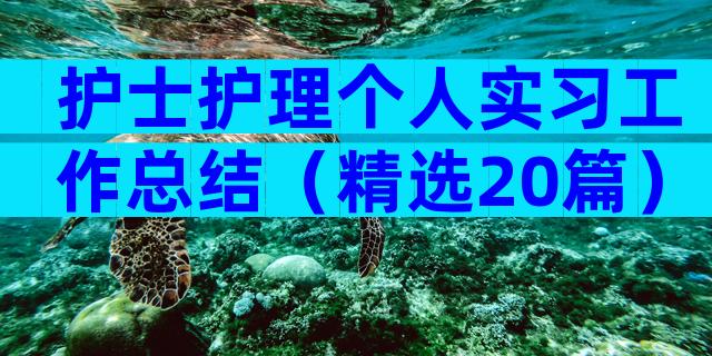护士护理个人实习工作总结（精选20篇）