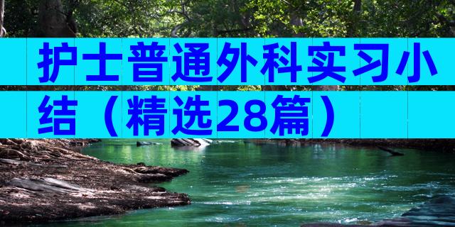 护士普通外科实习小结（精选28篇）
