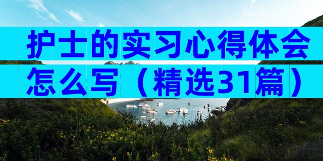 护士的实习心得体会怎么写（精选31篇）