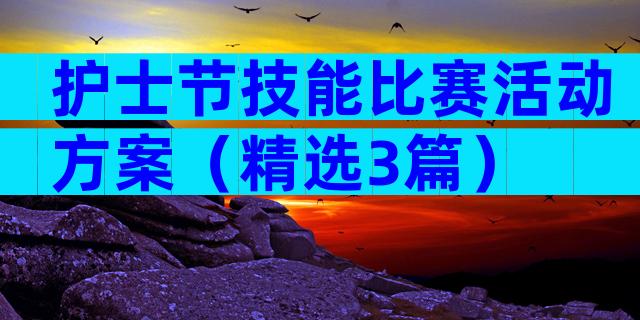 护士节技能比赛活动方案（精选3篇）