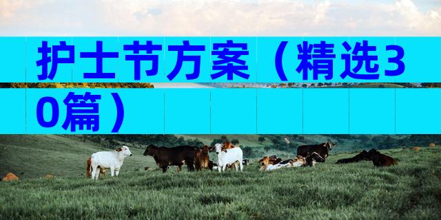 护士节方案（精选30篇）