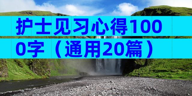 护士见习心得1000字（通用20篇）