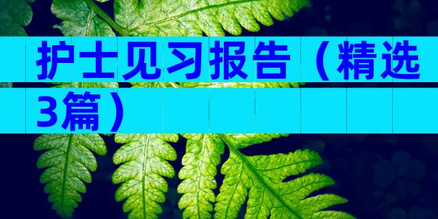 护士见习报告（精选3篇）