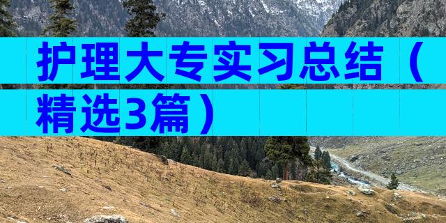 护理大专实习总结（精选3篇）