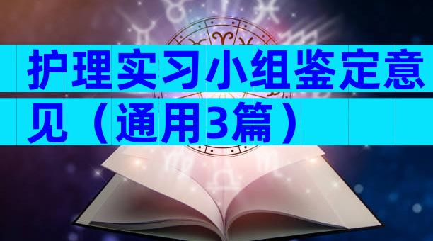 护理实习小组鉴定意见（通用3篇）