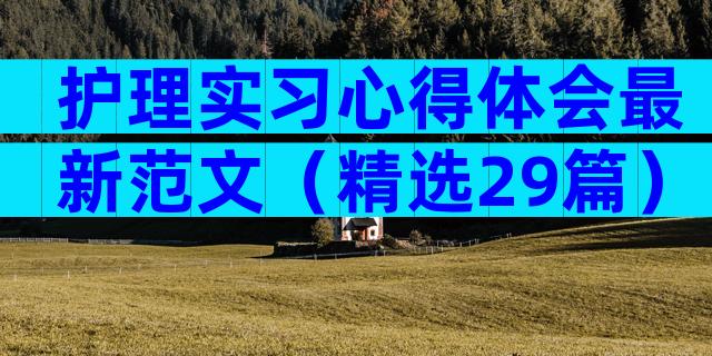 护理实习心得体会最新范文（精选29篇）