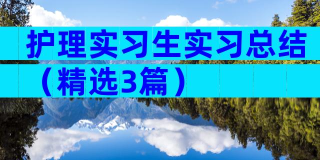 护理实习生实习总结（精选3篇）