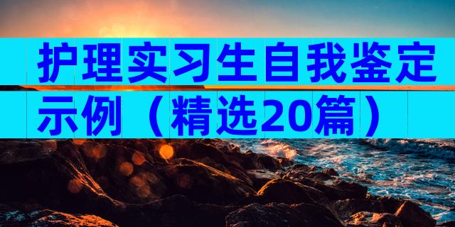 护理实习生自我鉴定示例（精选20篇）