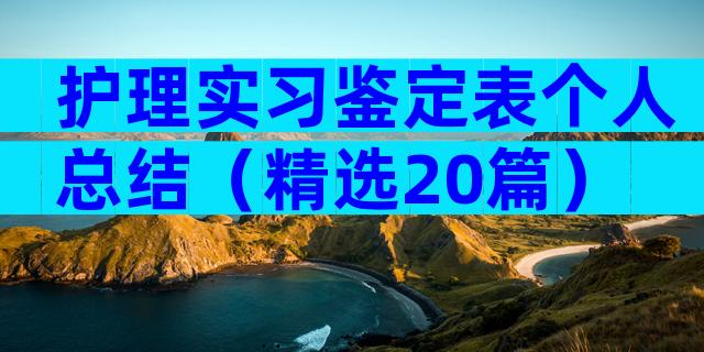 护理实习鉴定表个人总结（精选20篇）