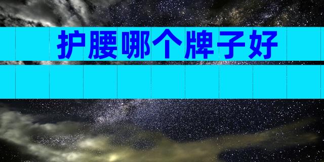 护腰哪个牌子好