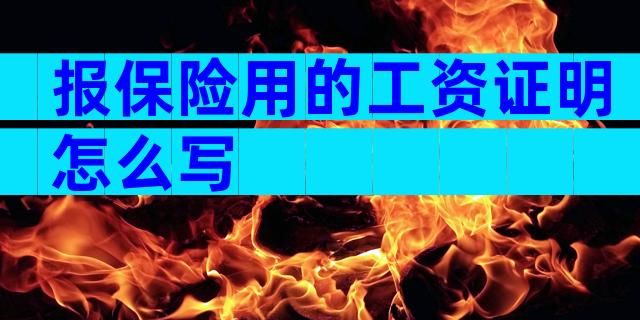 报保险用的工资证明怎么写