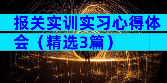 报关实训实习心得体会（精选3篇）
