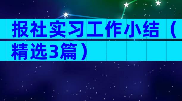 报社实习工作小结（精选3篇）