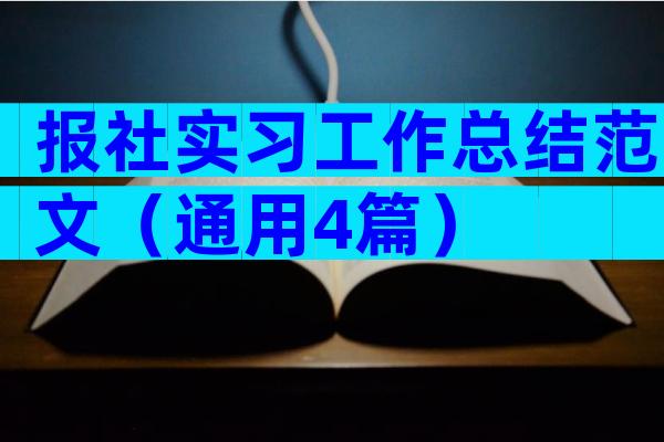 报社实习工作总结范文（通用4篇）